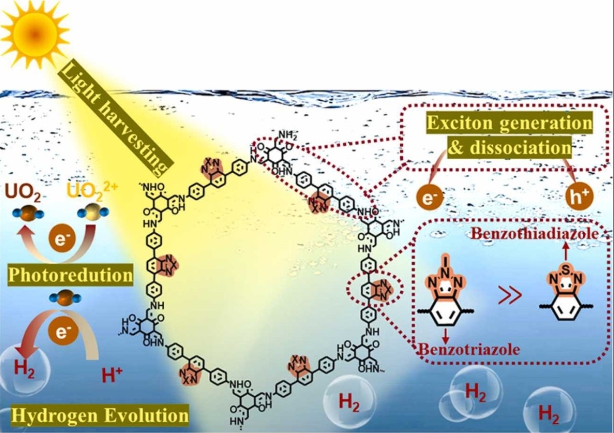 Sieving aquatic uranium for photocatalytic hydrogen evolution with covalent organic frameworks