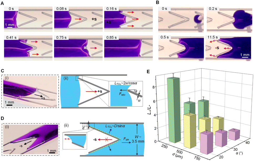 A printable asymmetrical surface pattern for responsive directional liquid transport