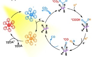 Tailoring Alkyl Side Chains of Benzotriazole‒Based Covalent Organic Frameworks for Enhancement of Photocatalytic CO2 Reduction