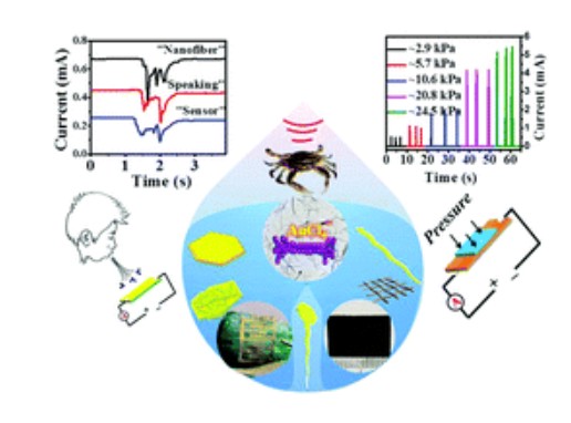 Guiding growth orientation of two-dimensional Au nanocrystals with marine chitin nanofibrils for ultrasensitive and ultrafast sensing hybrids. Chen, Y., Liu, Z., Li, M., Wu, X., You, J., & Li, C. (2017). J. Materials Chemistry B, 5(48), 9502-9506.