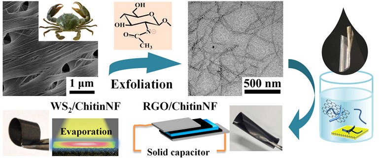 Liquid exfoliated chitin nanofibrils for re-dispersibility and hybridization of two-dimensional nanomaterials. You, J., Zhu, L., Wang, Z., Zong, L., Li, M., Wu, X., & Li, C. (2018). Chemical Engineering Journal, 344, 498-505.