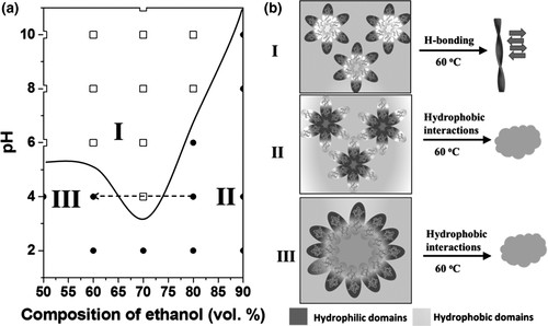 Hydrophobicity-modulating self-assembled morphologies of α-zein in aqueous ethanol. An, B. , Wu, X. , Li, M. , Chen, Y. , Li, F. , & Yan, X. , et al. (2016).International Journal of Food Science & Technology, 51(12), 2621-2629.