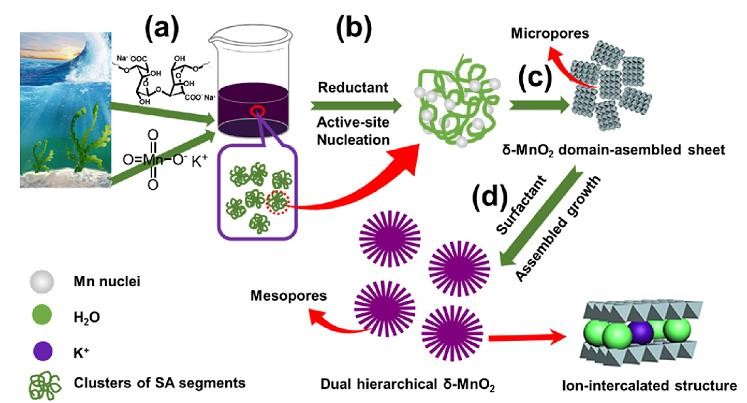 Modulating structural hierarchies of manganese oxide in morphology and porosity by marine biopolymer for improved supercapacitors. Zong, L., Wu, X., You, J., Li, M., & Li, C. (2016). Electrochimica Acta, 213, 709-716.