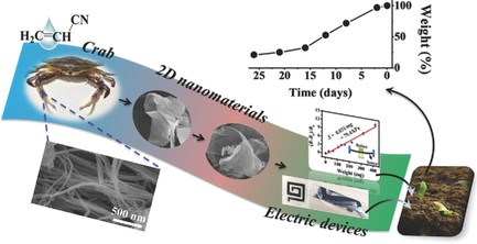 Crab Chitin‐Based 2D Soft Nanomaterials for Fully Biobased Electric Devices. You, J., Li, M., Ding, B., Wu, X., & Li, C. (2017). Advanced Materials, 29(19), 1606895.