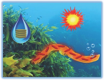 Bioinspired coupling of inorganic layered nanomaterials with marine polysaccharides for efficient aqueous exfoliation and smart actuating hybrids. Zong, L., Li, M., & Li, C. (2017). Advanced Materials, 29(10), 1604691.