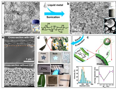 Evaporation-induced sintering of liquid metal droplets with biological nanofibrils for flexible conductivity and responsive actuation X Li, M Li, J Xu, J You, Z Yang, C Li, Nature Communications, 2019, https://doi.org/10.1038/s41467-019-11466-5