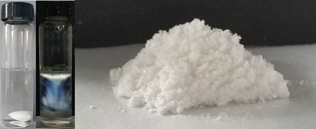  Amyloid纳米纤维及前驱体
