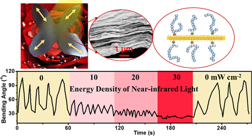Design of MXene Composites with Biomimetic Rapid and Self-Oscillating Actuation under Ambient Circumstances. Tongfei Xu, Danfeng Pei*, Shanyu Yu, Xiaofang Zhang, Meigui Yi*, and Chaoxu Li*