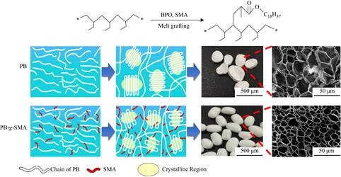 The Investigation on Foamability Behavior of Polybutene Based on Melt Grafting.ACTA POLYMERICA SINICA,2020,Chong Han, Bing-zhen Sun, Rui-ying Gong, Chao-xu Li,DOI:10.11777/j.issn1000-3304.2020.20109
