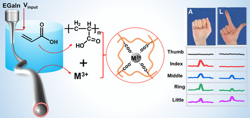 Interfacial Electrochemical Polymerization for Spinning Liquid Metals into Core−Shell Wires,ACS Applied Materials & Interfaces ,2022,Lifen Long, Xinpeng Che, Peifan Yao, Xihua Zhang,Jingwei Wang, Mingjie Li,and Chaoxu Li,DOI:10.1021/acsami.2c02247