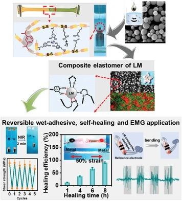 Reversible Wet-Adhesive and Self-Healing Conductive Composite Elastomer of Liquid Metal，Advanced Functional Materials ，2022，Danfeng Pei, Shanyu Yu, Ping Liu, Yongpeng Wu, Xiaofang Zhang, Yijun Chen, Mingjie Li, Chaoxu Li，DOI: 10.1002/adfm.202204257