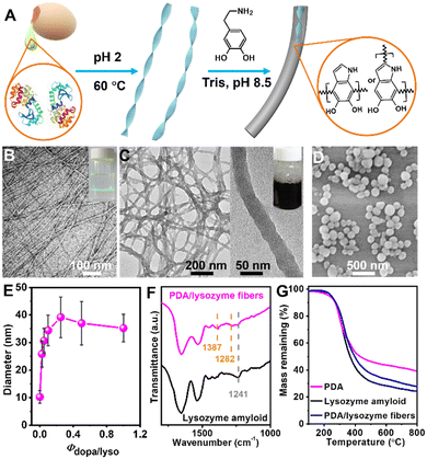 Amyloid-templated polydopamine nanofibers for catecholic immobilization of catalytic noble metal nanoparticles,Chemical Communications,2022,Lv Lili, Wang Yanwei, You Jun , Li Mingjie  and Li Chaoxu